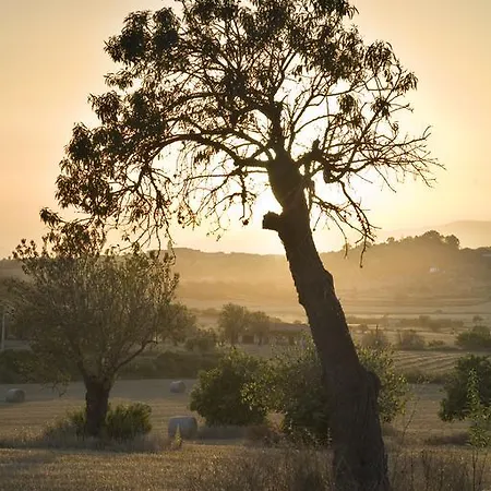 Agroturismo Sa Rota D' En Palerm