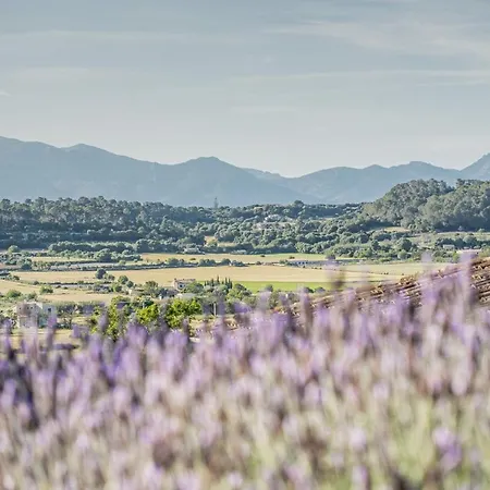 Agroturismo Sa Rota D' En Palerm Farm stay *